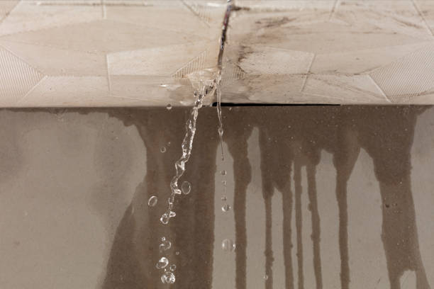 Professional Sewage Cleanup technician working in Stoughton, WI
